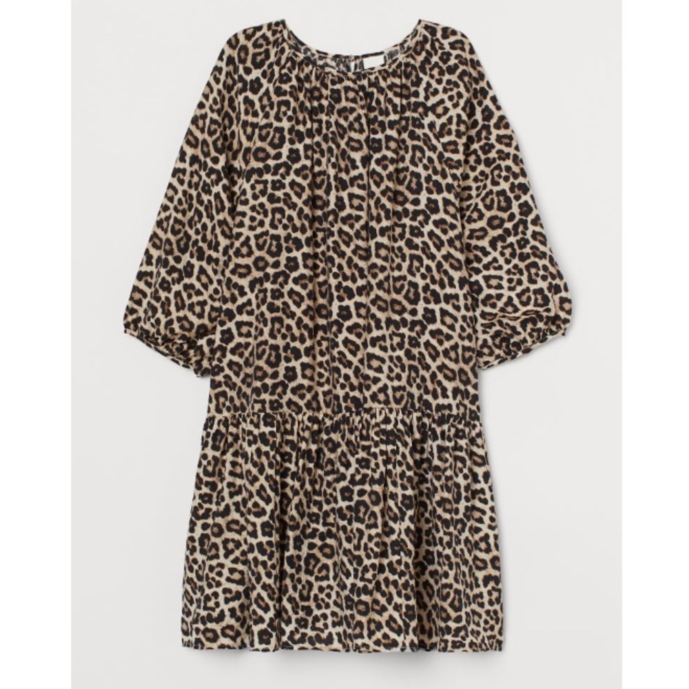 H&M Balloon-sleeved Dress